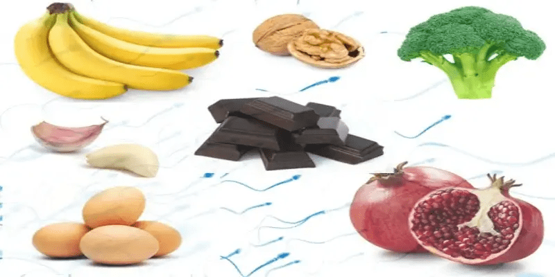 foods that can increase volume of semen ejaculate