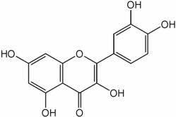 Flavinoids: A valuable chemical found in Daniana.
