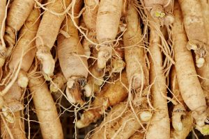 ginseng roots